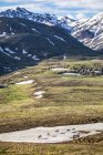 Une bande de caribous (Rangifer tarandus) traversant un champ de neige dans le parc. Intérieur Alaska, Denali National Park and Preserve ; Alaska, États-Unis d'Amérique — Photo de stock