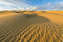 Поверхность песка, колеблющаяся от ветровой эрозии, экологический заповедник Грейт-Сандхиллс; Вал-Мари, Саскачеван, Канада — стоковое фото