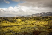 Lavafelder mit moosbedecktem Vulkangestein; Island — Stockfoto