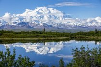 View of Denali and reflection in Reflection Pond taken from the park road while driving to Wonder Lake, Denali National Park and Preserve; Alaska, United States of America — стоковое фото