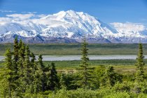 View of Denali from the park road while driving to Wonder Lake, Denali National Park and Preserve; Alaska, United States of America — Fotografia de Stock