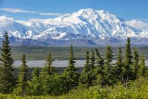 View of Denali from the park road while driving to Wonder Lake, Denali National Park and Preserve; Alaska, United States of America — Stock Photo