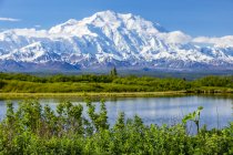 View of Denali and Reflection Pond taken from the park road while driving to Wonder Lake, Denali National Park and Preserve; Alaska, United States of America — Stock Photo
