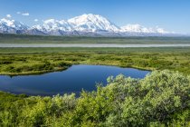 View of Denali and Reflection Pond taken from the park road while driving to Wonder Lake, Denali National Park and Preserve; Alaska, United States of America — Foto stock