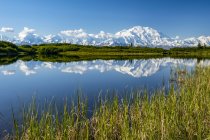 View of Denali and it's reflection in Reflection Pond taken from the park road while driving to Wonder Lake, Denali National Park and Preserve; Alaska, United States of America — Stock Photo