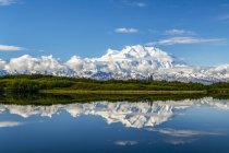 View of Denali and reflection in Reflection Pond taken from the park road while driving to Wonder Lake, Denali National Park and Preserve; Alaska, United States of America — стокове фото