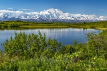 View of Denali and Reflection Pond taken from the park road while driving to Wonder Lake, Denali National Park and Preserve; Alaska, United States of America — Stockfoto