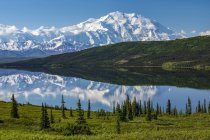 View of Denali and reflection in Wonder Lake taken from the park road, Denali National Park and Preserve; Alaska, United States of America — Fotografia de Stock
