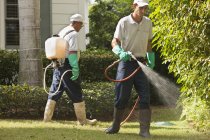Pest control technicians using portable spray rig on tree and grass environment — Stock Photo