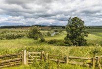 The River Till running through the fields near Crookham Village; Northumberland, England — Photo de stock