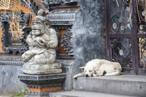 Hund schläft bei einem Tempel; kamasan, bali, indonesien — Stockfoto