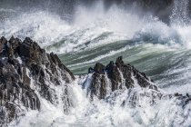 Coup de surf sur un affleurement de basalte au cap Falcon ; Manzanita, Oregon, États-Unis d'Amérique — Photo de stock