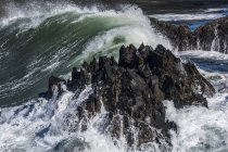 Coup de surf sur un affleurement de basalte au cap Falcon ; Manzanita, Oregon, États-Unis d'Amérique — Photo de stock