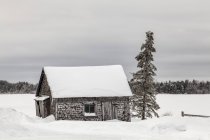 Grange dilatée recouverte de neige et de glace ; Sault St. Marie, Michigan, États-Unis d'Amérique — Photo de stock