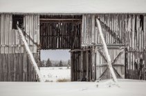Fienile fatizzato coperto di neve e ghiaccio; Sault St. Marie, Michigan, Stati Uniti d'America — Foto stock