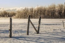 Cerca cubierta de hielo en un campo cubierto de nieve con cielo azul; Sault St. Marie, Michigan, Estados Unidos de América - foto de stock