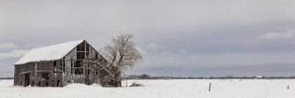 Fienile fatizzato coperto di neve e ghiaccio in inverno; Sault St. Marie, Michigan, Stati Uniti d'America — Foto stock