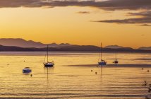 Veleros amarrados al atardecer con la luz dorada del sol reflejándose en el agua tranquila y una silueta costera; Isla Mayne, Islas del Golfo, BC, Canadá - foto de stock