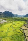 Vista panorâmica de terraços de arroz; Lumajang, Java Oriental, Indonésia — Fotografia de Stock