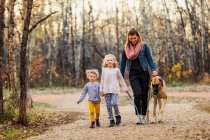 Young mom and her daughters walking their Great Dane in a park on a warm autumn evening; Edmonton, Alberta, Canada — Stock Photo