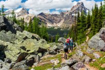 Hikers along a rocky mountain trail with mountain range in the distance, Yoho National Park; Field, British Columbia, Canada — Stock Photo