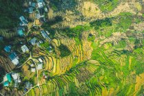 Vista del dron de las terrazas de arroz; Provincia de Ha Giang, Vietnam - foto de stock