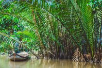 Barco no rio ao longo da costa com frondas exuberantes, Rio Mekong Delta; Vietnã — Fotografia de Stock