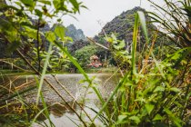 Дом и листва вдоль Красной реки, дельта Красной реки; Нин Бинь, Вьетнам — стоковое фото