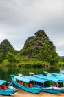 Лодки до пещеры Фонг Нха, Национальный парк Фонг Нха-Ке Банг; Фонг Нха, провинция Куанг Бинь, Вьетнам — стоковое фото