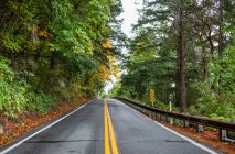 Fahrt nach Süden auf dem Chuckanut Drive aus Belllingham an einem Oktobertag mit gelbem Laub an den Bäumen; Washington, Vereinigte Staaten von Amerika — Stockfoto