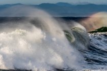 Изящные волны ломаются близко к берегу с солнечным светом, освещающим воду; Приморье, Орегон, Соединенные Штаты Америки — стоковое фото