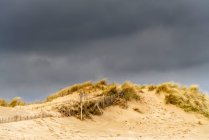 Hierbas de arena y playa bajo el cielo oscuro; South Shields, Tyne and Wear, Inglaterra - foto de stock
