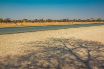 Sombra del árbol y camino; Namibia - foto de stock