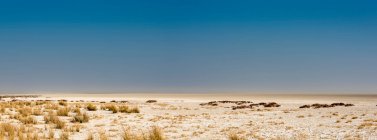 Etosha pan, parc national d'Etosha ; Namibie — Photo de stock