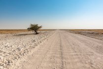 Longa e vazia estrada que se estende para a distância, Parque Nacional Etosha; Namíbia — Fotografia de Stock