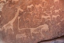 Twyfelfontein, древняя каменная гравюра в Дамараленде; регион Кунене, Намибия — стоковое фото
