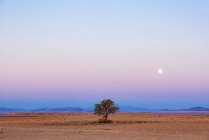 Lua Cheia em Aluvlei, Namib-Naukluft National Park; Namíbia — Fotografia de Stock