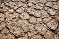 Посуха, Соссуфлей, пустеля Наміб, національний парк Наміб-Науклуфт; Намібія — стокове фото