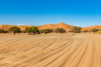 Sossusvlei, désert de Namib, parc national de Namib-Naukluft ; Namibie — Photo de stock