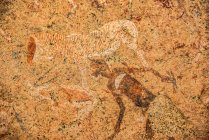 A pintura de pedra White Lady, Brandberg Mountain, Damaraland; Kunene Região, Namíbia — Fotografia de Stock