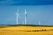 Large metal wind turbines on rolling hills with blue sky, North of Waterton; Alberta, Canada — Stock Photo