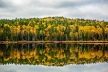 Beautiful water reflection of autumn colours along Swamper Lake. Swamper Lake is on the Gunflint Trail in Northern Minnesota; Minnesota, United States of America — Stock Photo