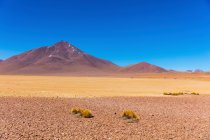 Salvador Dali Desert ; Potosi, Bolivie — Photo de stock