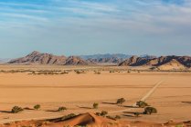 Vista panorámica del paisaje muerto del desierto de Namib; Namibia - foto de stock