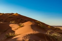 Vista panorámica del paisaje muerto del desierto de Namib; Namibia - foto de stock