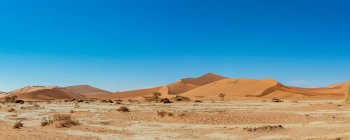 Живописный вид мертвого ландшафта пустыни Намиб; Намибия — стоковое фото