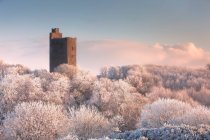 Castillo de Kilworth, un antiguo castillo ruinas con vistas a un bosque cubierto de nieve en invierno al amanecer; Kilworth, Condado de Cork, Irlanda - foto de stock