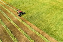 Vista aérea de um swather cortando um campo de cevada com linhas gráficas da colheita; Beiseker, Alberta, Canadá — Fotografia de Stock