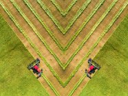 Vista diretamente acima da imagem espelhada de dois swathers cortando um campo de cevada com linhas gráficas de colheita; Beiseker, Alberta, Canadá — Fotografia de Stock