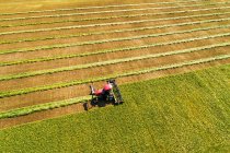Aerial view of a swather cutting a barley field with graphic harvest lines; Beiseker, Alberta, Canada — Stock Photo